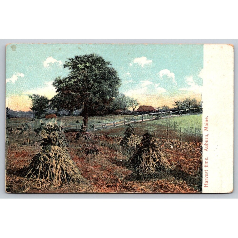 Vtg Postcard Harvest Time Auburn Maine Farm Landscape Divided Made in Germany
